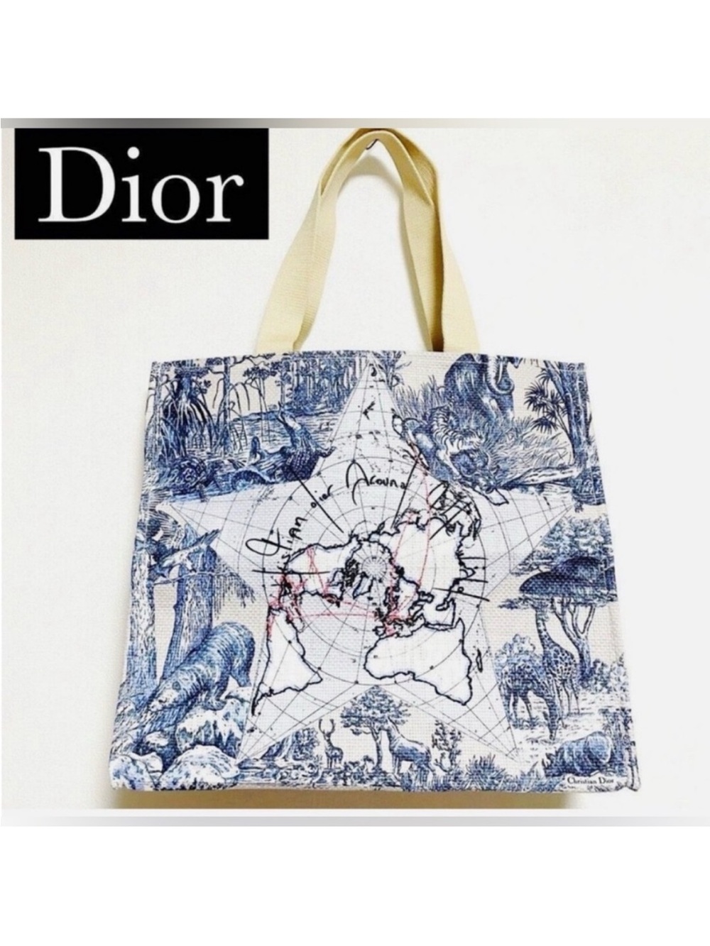Dior Blue and White around the world canvas Tote NWT - Picture 6 of 10